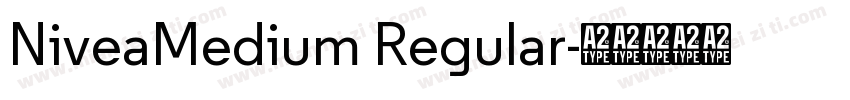 NiveaMedium Regular字体转换